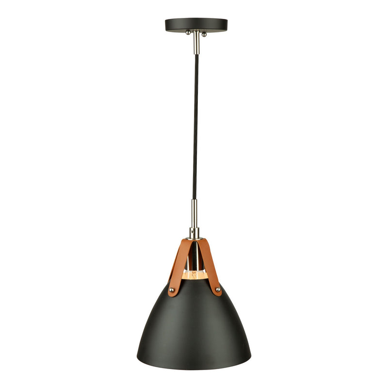 One Light Pendant<br /><span style="color: