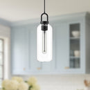 One Light Pendant<br /><span style="color:#4AB0CE;">Entrega: 4-10 dias en USA</span><br /><span style="color:#4AB0CE;font-size:60%;">PREGUNTE POR ENTREGA EN PANAMA</span><br />Collection: Soji<br />Finish: Clear Glass/Matte Black