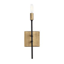 One Light Wall Sconce<br /><span style="color: