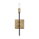 One Light Wall Sconce<br /><span style="color: