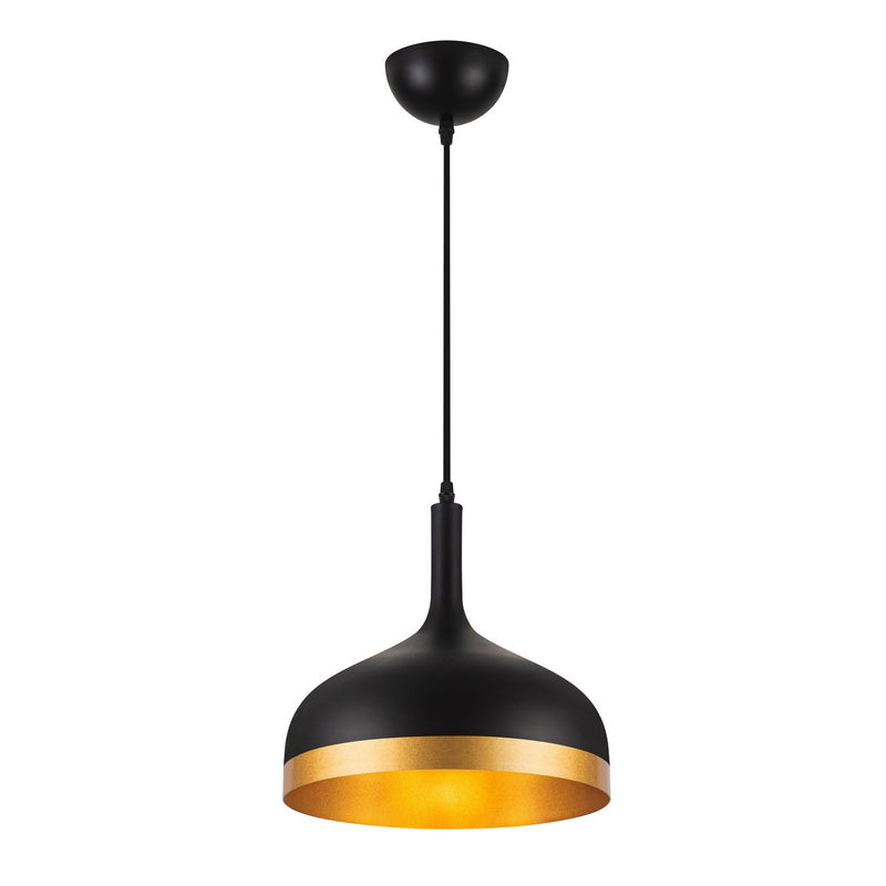 One Light Pendant<br /><span style="color: