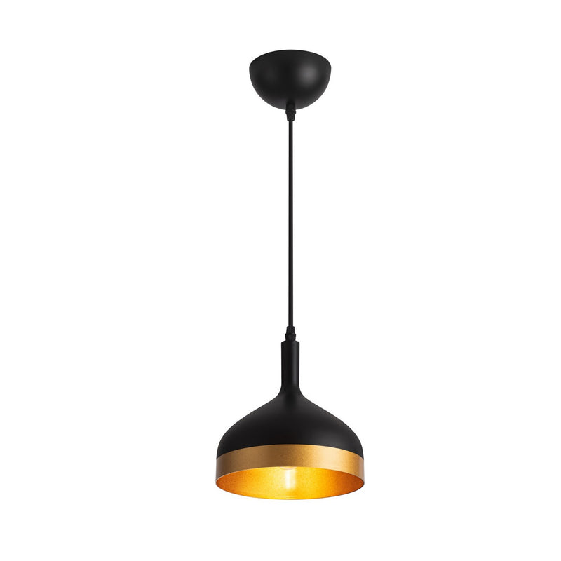 One Light Pendant<br /><span style="color:
