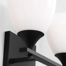 Two Light Bath<br /><span style="color:#4AB0CE;">Entrega: 4-10 dias en USA</span><br /><span style="color:#4AB0CE;font-size:60%;">PREGUNTE POR ENTREGA EN PANAMA</span><br />Collection: Toffino<br />Finish: Midnight Black