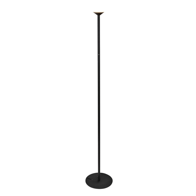 LED Floor Lamp<br /><span style="color: