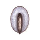 LED Wall Sconce<br /><span style="color:#4AB0CE;">Entrega: 4-10 dias en USA</span><br /><span style="color:#4AB0CE;font-size:60%;">PREGUNTE POR ENTREGA EN PANAMA</span><br />Collection: Spat<br />Finish: Pearlized Antique Brass