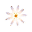 12 Light Pendant<br /><span style="color:#4AB0CE;">Entrega: 4-10 dias en USA</span><br /><span style="color:#4AB0CE;font-size:60%;">PREGUNTE POR ENTREGA EN PANAMA</span><br />Collection: Gossamer<br />Finish: Oxidized Gold Leaf