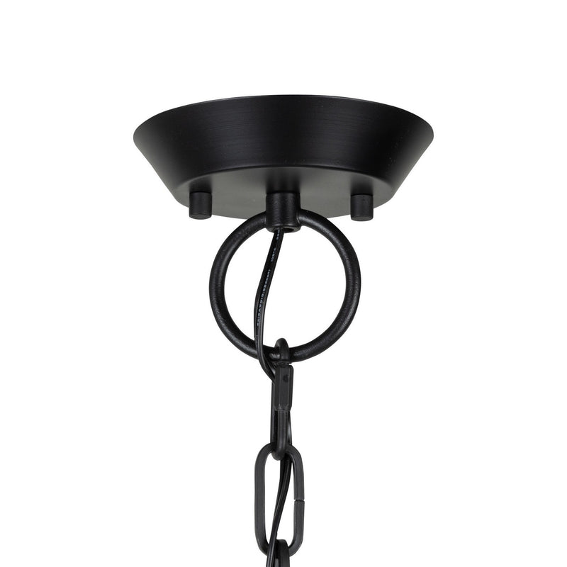Artcraft Canada - AC11986BB - Six Light Chandelier - Notting Hill - Black and Brushed Brass
