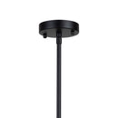 Artcraft Canada - SC13364BK - Four Light Pendant - Pullman - Black