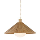 Troy Lighting - F1432-PBR - One Light Pendant - Woodside - Patina Brass