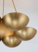 Six Light Chandelier<br /><span style="color:#4AB0CE;">Entrega: 4-10 dias en USA</span><br /><span style="color:#4AB0CE;font-size:60%;">PREGUNTE POR ENTREGA EN PANAMA</span><br />Collection: Ivy Lane<br />Finish: Legacy Brass
