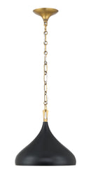 One Light Pendant<br /><span style="color:#4AB0CE;">Entrega: 8-9 semanas en USA</span><br /><span style="color:#4AB0CE;font-size:60%;">PREGUNTE POR ENTREGA EN PANAMA</span><br />Collection: Cedar Lane<br />Finish: Dark Matte Black