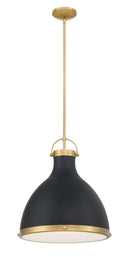 One Light Pendant<br /><span style="color:#4AB0CE;">Entrega: 4-10 dias en USA</span><br /><span style="color:#4AB0CE;font-size:60%;">PREGUNTE POR ENTREGA EN PANAMA</span><br />Collection: Lynk<br />Finish: Dark Matte Black