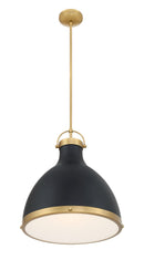 One Light Pendant<br /><span style="color:#4AB0CE;">Entrega: 4-10 dias en USA</span><br /><span style="color:#4AB0CE;font-size:60%;">PREGUNTE POR ENTREGA EN PANAMA</span><br />Collection: Lynk<br />Finish: Dark Matte Black