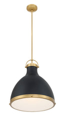 One Light Pendant<br /><span style="color:#4AB0CE;">Entrega: 6-7 semanas en USA</span><br /><span style="color:#4AB0CE;font-size:60%;">PREGUNTE POR ENTREGA EN PANAMA</span><br />Collection: Lynk<br />Finish: Dark Matte Black