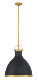 One Light Pendant<br /><span style="color:#4AB0CE;">Entrega: 4-10 dias en USA</span><br /><span style="color:#4AB0CE;font-size:60%;">PREGUNTE POR ENTREGA EN PANAMA</span><br />Collection: Lynk<br />Finish: Dark Matte Black
