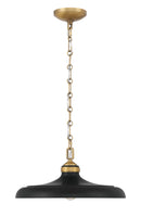 One Light Pendant<br /><span style="color:#4AB0CE;">Entrega: 4-10 dias en USA</span><br /><span style="color:#4AB0CE;font-size:60%;">PREGUNTE POR ENTREGA EN PANAMA</span><br />Collection: Crowne<br />Finish: Dark Matte Black