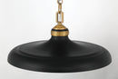 One Light Pendant<br /><span style="color:#4AB0CE;">Entrega: 4-10 dias en USA</span><br /><span style="color:#4AB0CE;font-size:60%;">PREGUNTE POR ENTREGA EN PANAMA</span><br />Collection: Crowne<br />Finish: Dark Matte Black