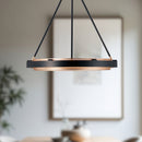 LED Pendant<br /><span style="color:#4AB0CE;">Entrega: 4-10 dias en USA</span><br /><span style="color:#4AB0CE;font-size:60%;">PREGUNTE POR ENTREGA EN PANAMA</span><br />Collection: Duo<br />Finish: Classic Black/Gold Shimmer