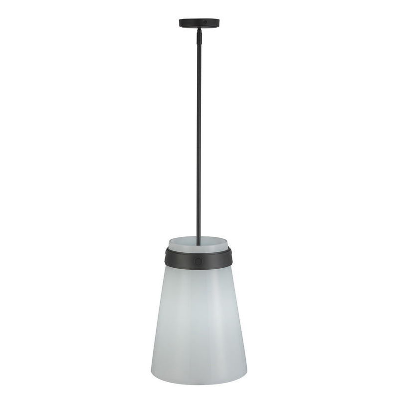 One Light Pendant<br /><span style="color:#4AB0CE;">Entrega: 4-10 dias en USA</span><br /><span style="color:#4AB0CE;font-size:60%;">PREGUNTE POR ENTREGA EN PANAMA</span><br />Collection: Dahlia<br />Finish: Black