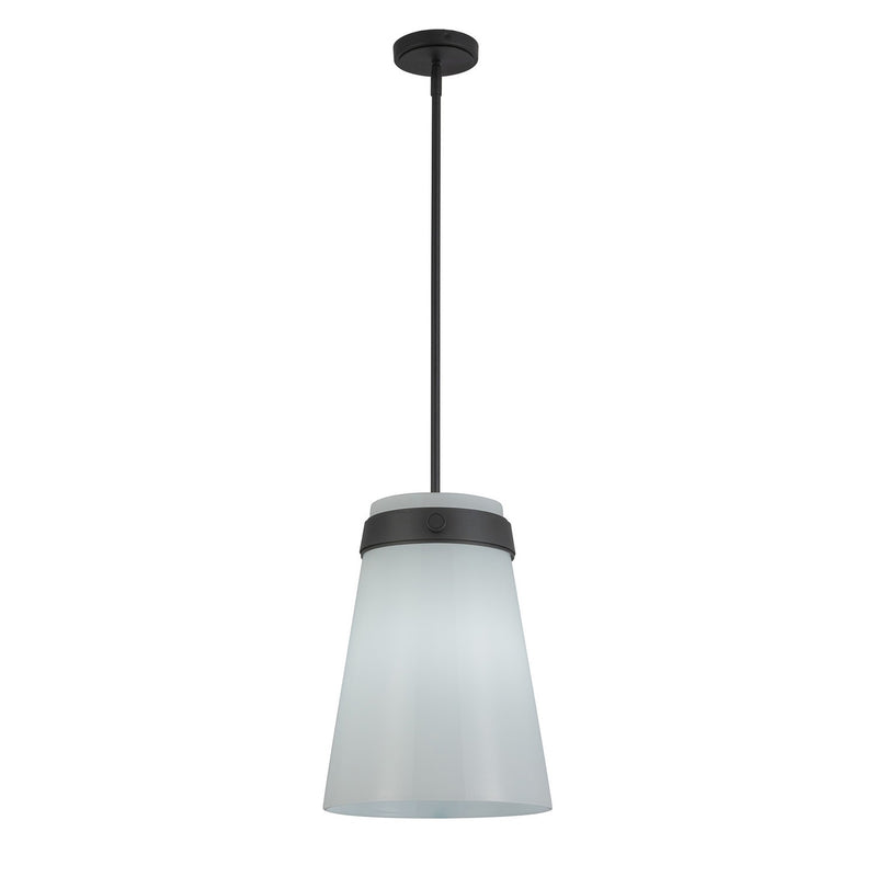 One Light Pendant<br /><span style="color:#4AB0CE;">Entrega: 4-10 dias en USA</span><br /><span style="color:#4AB0CE;font-size:60%;">PREGUNTE POR ENTREGA EN PANAMA</span><br />Collection: Dahlia<br />Finish: Black