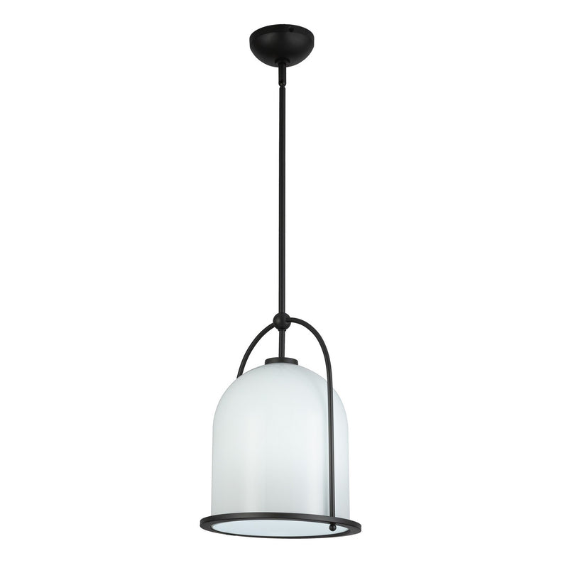 One Light Pendant<br /><span style="color:#4AB0CE;">Entrega: 4-10 dias en USA</span><br /><span style="color:#4AB0CE;font-size:60%;">PREGUNTE POR ENTREGA EN PANAMA</span><br />Collection: Dahlia<br />Finish: Black