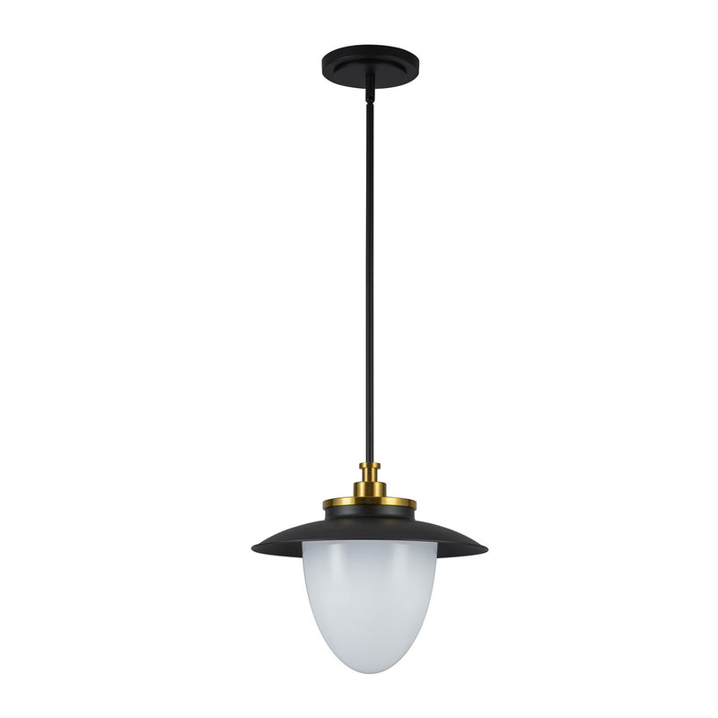One Light Pendant<br /><span style="color:#4AB0CE;">Entrega: 4-10 dias en USA</span><br /><span style="color:#4AB0CE;font-size:60%;">PREGUNTE POR ENTREGA EN PANAMA</span><br />Collection: Dahlia<br />Finish: Black