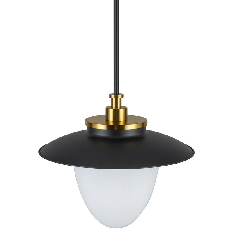 One Light Pendant<br /><span style="color:#4AB0CE;">Entrega: 4-10 dias en USA</span><br /><span style="color:#4AB0CE;font-size:60%;">PREGUNTE POR ENTREGA EN PANAMA</span><br />Collection: Dahlia<br />Finish: Black