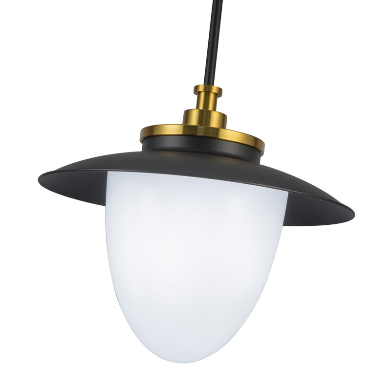 One Light Pendant<br /><span style="color:#4AB0CE;">Entrega: 4-10 dias en USA</span><br /><span style="color:#4AB0CE;font-size:60%;">PREGUNTE POR ENTREGA EN PANAMA</span><br />Collection: Dahlia<br />Finish: Black