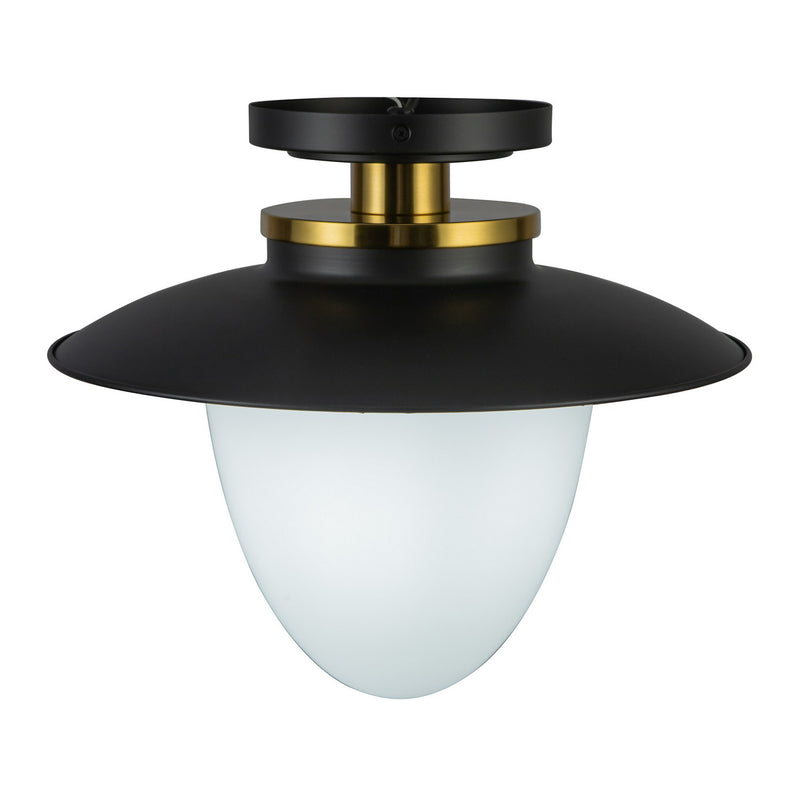 One Light Pendant<br /><span style="color:#4AB0CE;">Entrega: 4-10 dias en USA</span><br /><span style="color:#4AB0CE;font-size:60%;">PREGUNTE POR ENTREGA EN PANAMA</span><br />Collection: Dahlia<br />Finish: Black