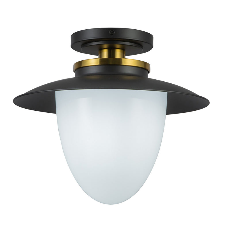 One Light Pendant<br /><span style="color:#4AB0CE;">Entrega: 4-10 dias en USA</span><br /><span style="color:#4AB0CE;font-size:60%;">PREGUNTE POR ENTREGA EN PANAMA</span><br />Collection: Dahlia<br />Finish: Black