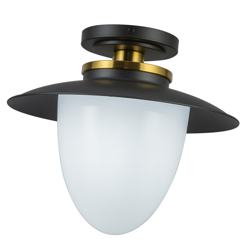 One Light Pendant<br /><span style="color:#4AB0CE;">Entrega: 4-10 dias en USA</span><br /><span style="color:#4AB0CE;font-size:60%;">PREGUNTE POR ENTREGA EN PANAMA</span><br />Collection: Dahlia<br />Finish: Black
