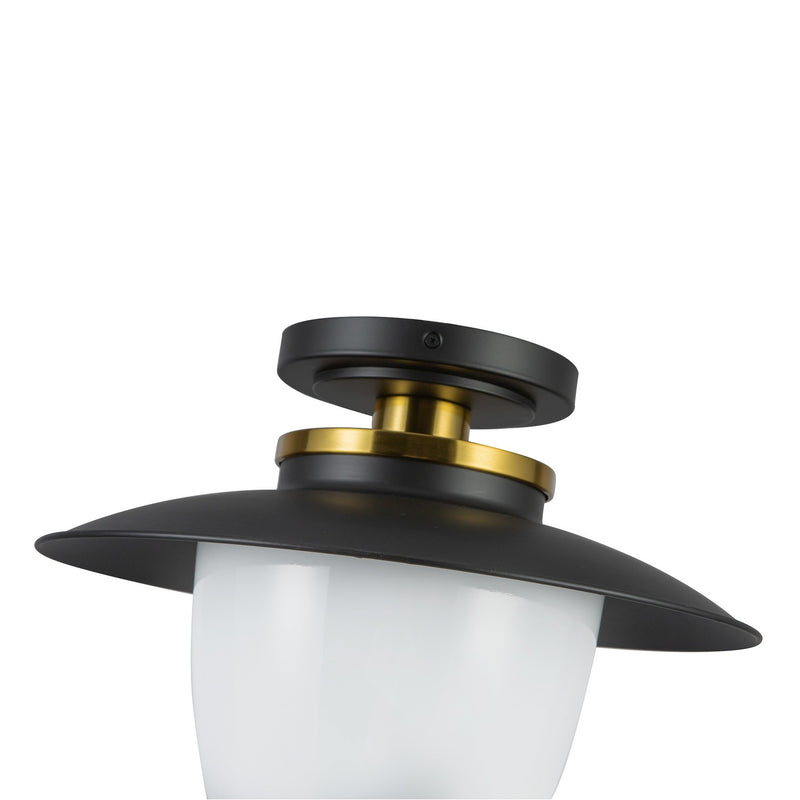 One Light Pendant<br /><span style="color:#4AB0CE;">Entrega: 4-10 dias en USA</span><br /><span style="color:#4AB0CE;font-size:60%;">PREGUNTE POR ENTREGA EN PANAMA</span><br />Collection: Dahlia<br />Finish: Black