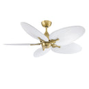 DC Motor<br /><span style="color:#4AB0CE;">Entrega: 4-10 dias en USA</span><br /><span style="color:#4AB0CE;font-size:60%;">PREGUNTE POR ENTREGA EN PANAMA</span><br />Collection: Islander DC<br />Finish: Brushed Satin Brass