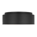 Two Light Flush Mount<br /><span style="color:#4AB0CE;">Entrega: 4-10 dias en USA</span><br /><span style="color:#4AB0CE;font-size:60%;">PREGUNTE POR ENTREGA EN PANAMA</span><br />Collection: Dartmore<br />Finish: Midnight Black