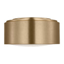 Flush Mount<br /><span style="color:#4AB0CE;">Entrega: 4-10 dias en USA</span><br /><span style="color:#4AB0CE;font-size:60%;">PREGUNTE POR ENTREGA EN PANAMA</span><br />Collection: Albee<br />Finish: Satin Brass