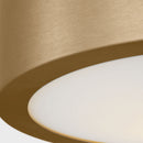 Flush Mount<br /><span style="color:#4AB0CE;">Entrega: 4-10 dias en USA</span><br /><span style="color:#4AB0CE;font-size:60%;">PREGUNTE POR ENTREGA EN PANAMA</span><br />Collection: Albee<br />Finish: Satin Brass