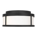 Flush Mount<br /><span style="color:#4AB0CE;">Entrega: 4-10 dias en USA</span><br /><span style="color:#4AB0CE;font-size:60%;">PREGUNTE POR ENTREGA EN PANAMA</span><br />Collection: Luning<br />Finish: Textured Black