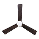 36"Ceiling Fan<br /><span style="color:#4AB0CE;">Entrega: 6-7 semanas en USA</span><br /><span style="color:#4AB0CE;font-size:60%;">PREGUNTE POR ENTREGA EN PANAMA</span><br />Collection: Elavan<br />Finish: Legacy Brass
