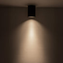 LED Flush Mount<br /><span style="color:#4AB0CE;">Entrega: 4-10 dias en USA</span><br /><span style="color:#4AB0CE;font-size:60%;">PREGUNTE POR ENTREGA EN PANAMA</span><br />Collection: Lorna<br />Finish: Black