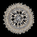 18 Light Chandelier<br /><span style="color:#4AB0CE;">Entrega: 6-7 semanas en USA</span><br /><span style="color:#4AB0CE;font-size:60%;">PREGUNTE POR ENTREGA EN PANAMA</span><br />Collection: Farfalle<br />Finish: Brushed Champagne Gold