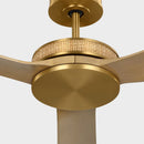 56" Ceiling Fan<br /><span style="color:#4AB0CE;">Entrega: 11-12 semanas en USA</span><br /><span style="color:#4AB0CE;font-size:60%;">PREGUNTE POR ENTREGA EN PANAMA</span><br />Collection: Elara<br />Finish: Burnished Brass