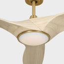 52" Ceiling Fan<br /><span style="color:#4AB0CE;">Entrega: 4-10 dias en USA</span><br /><span style="color:#4AB0CE;font-size:60%;">PREGUNTE POR ENTREGA EN PANAMA</span><br />Collection: Selen<br />Finish: Burnished Brass