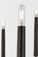 Eight Light Chandelier<br /><span style="color:#4AB0CE;">Entrega: 4-10 dias en USA</span><br /><span style="color:#4AB0CE;font-size:60%;">PREGUNTE POR ENTREGA EN PANAMA</span><br />Collection: Lois<br />Finish: Aged Iroged Iron