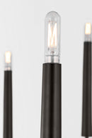 Eight Light Chandelier<br /><span style="color:#4AB0CE;">Entrega: 4-10 dias en USA</span><br /><span style="color:#4AB0CE;font-size:60%;">PREGUNTE POR ENTREGA EN PANAMA</span><br />Collection: Lois<br />Finish: Aged Iron | Aged Iron