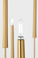 12 Light Chandelier<br /><span style="color:#4AB0CE;">Entrega: 5-6 semanas en USA</span><br /><span style="color:#4AB0CE;font-size:60%;">PREGUNTE POR ENTREGA EN PANAMA</span><br />Collection: Lois<br />Finish: Burnished Brass/Burnished Brass