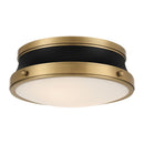 Two Light Flush Mount<br /><span style="color:#4AB0CE;">Entrega: 4-10 dias en USA</span><br /><span style="color:#4AB0CE;font-size:60%;">PREGUNTE POR ENTREGA EN PANAMA</span><br />Collection: Purelight<br />Finish: Legacy Brass