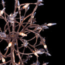 16 Light Chandelier<br /><span style="color:#4AB0CE;">Entrega: 4-10 dias en USA</span><br /><span style="color:#4AB0CE;font-size:60%;">PREGUNTE POR ENTREGA EN PANAMA</span><br />Collection: Fiore<br />Finish: Pearlized Antique Brass
