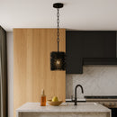 One Light Pendant<br /><span style="color:#4AB0CE;">Entrega: 5-6 semanas en USA</span><br /><span style="color:#4AB0CE;font-size:60%;">PREGUNTE POR ENTREGA EN PANAMA</span><br />Collection: Urchin<br />Finish: Black