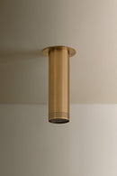 One Light Flush Mount<br /><span style="color:#4AB0CE;">Entrega: 4-10 dias en USA</span><br /><span style="color:#4AB0CE;font-size:60%;">PREGUNTE POR ENTREGA EN PANAMA</span><br />Collection: Berg<br />Finish: Patina Brass