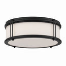 LED Flush Mount<br /><span style="color:#4AB0CE;">Entrega: 4-10 dias en USA</span><br /><span style="color:#4AB0CE;font-size:60%;">PREGUNTE POR ENTREGA EN PANAMA</span><br />Collection: Merick<br />Finish: Dark Matte Black
